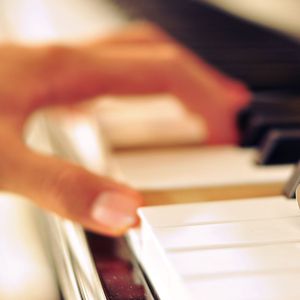 人禽互交50篇视频
